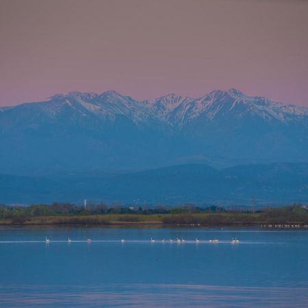 "Chill" Magnifique Vue Sur La Mer Et Le Port Au Coeur De La Ville En Premiere Ligne Canet-en-Roussillon Bagian luar foto