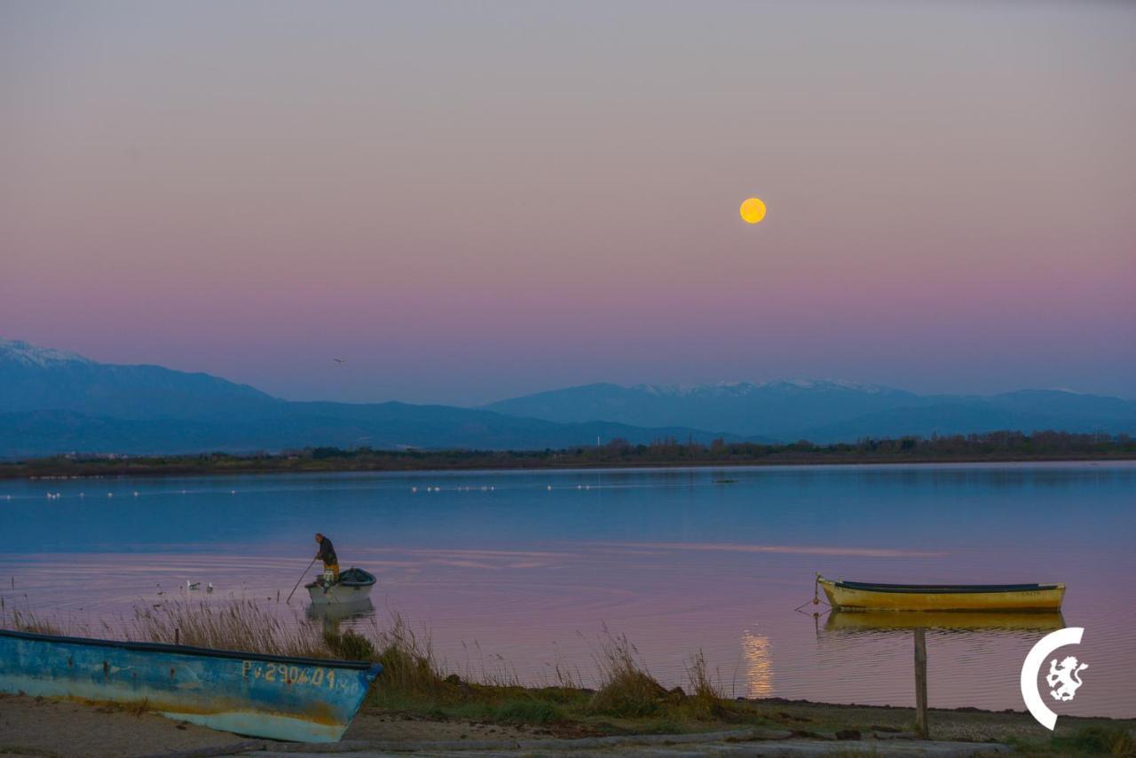 "Chill" Magnifique Vue Sur La Mer Et Le Port Au Coeur De La Ville En Premiere Ligne Canet-en-Roussillon Bagian luar foto